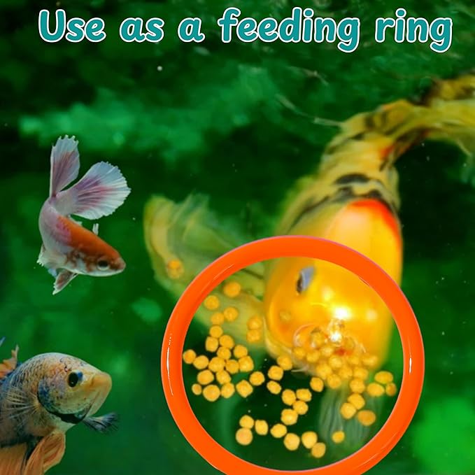 Betta Mirror Enrichment Fish Toys Stimulation, Betta Fish Tank Accessories - Image 4
