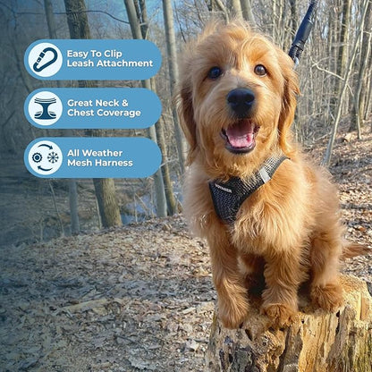 Best Pet Supplies - Image 5