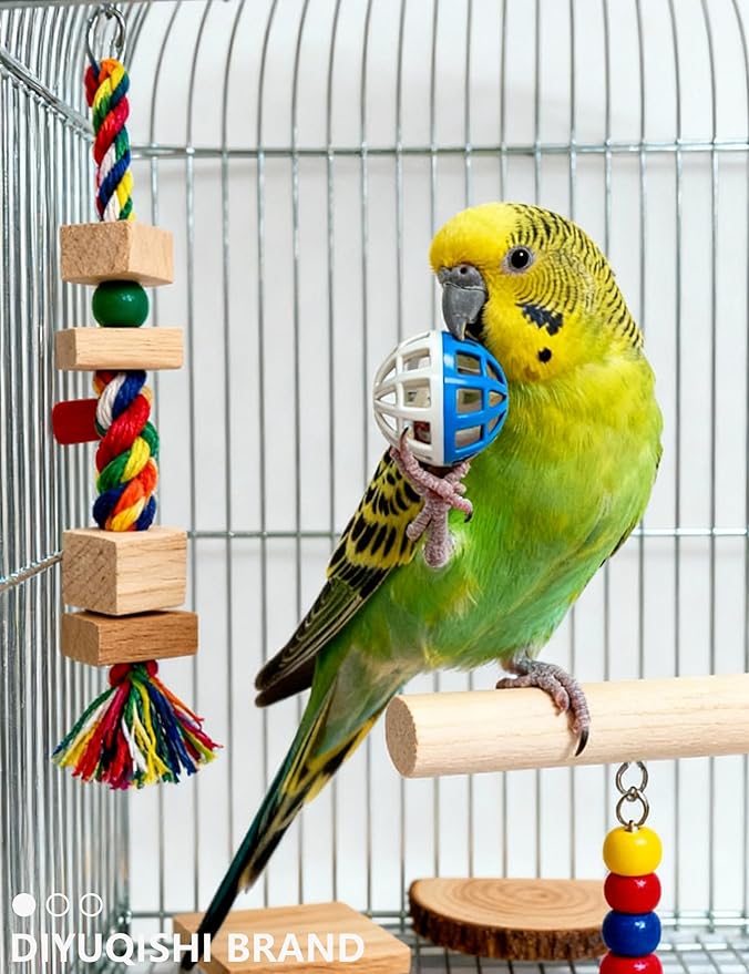 23-Pack Bird Toys for Parrots – Natural Rattan & Plastic Bell Balls – Safe - Image 4