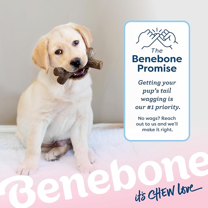 Benebone Puppy 4-Pack Dog Chew Toys, Made in USA, 30lbs and Under, - Image 8