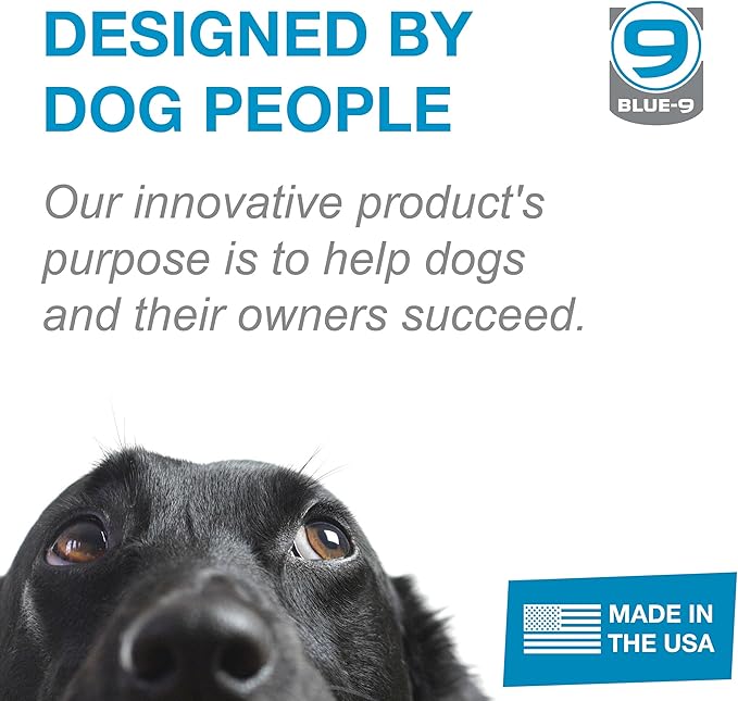 Blue-9 Pet Products KLIMB Dog Training Platform and Agility System, Durable and - Image 6