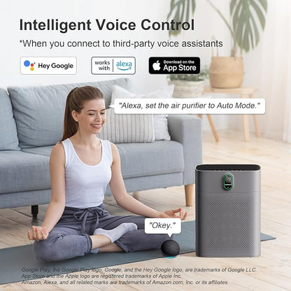 MORENTO Air Purifier for home Large Rooms up to 1076 ft2, Wi-Fi and Alexa - Image 3