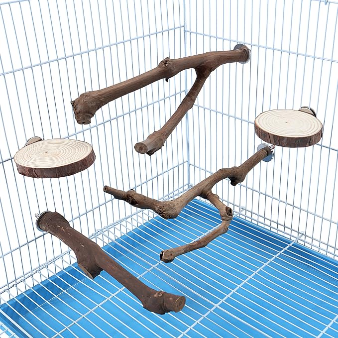 Mogoko 5PCS Bird Perch Natural Wood Grape Stick Stand, 3 Grape Stick Paw - Image 7