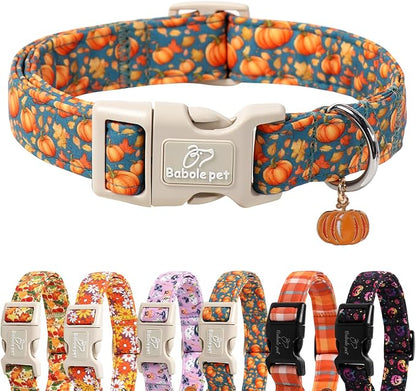 Fall Dog Collar Cute Autumn Pumpkin Puppy Collar by Babolepet