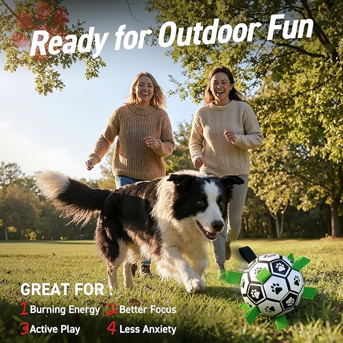 QDAN Dog Toys Dog Balls, World Cup Dog Soccer Ball - Image 2