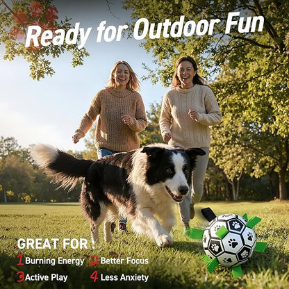 QDAN Dog Toys Dog Balls, World Cup Dog Soccer Ball - Image 2