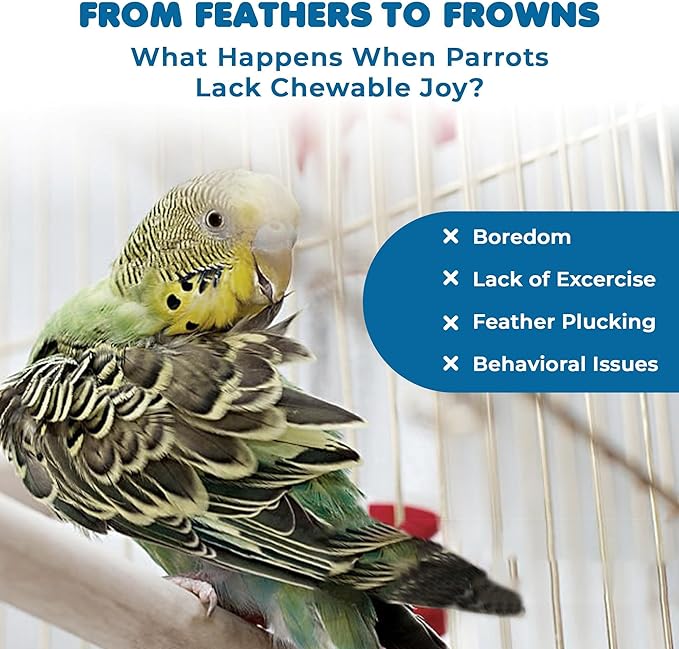 SunGrow Parrot Toy – Bird Foraging & Chew Toy - Image 6