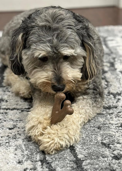 SPOT Bam-Bones Wishbone - Image 5