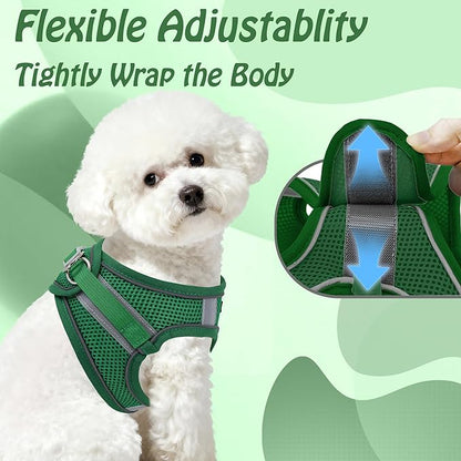 AIITLE Small Harness for Puppy - Image 5