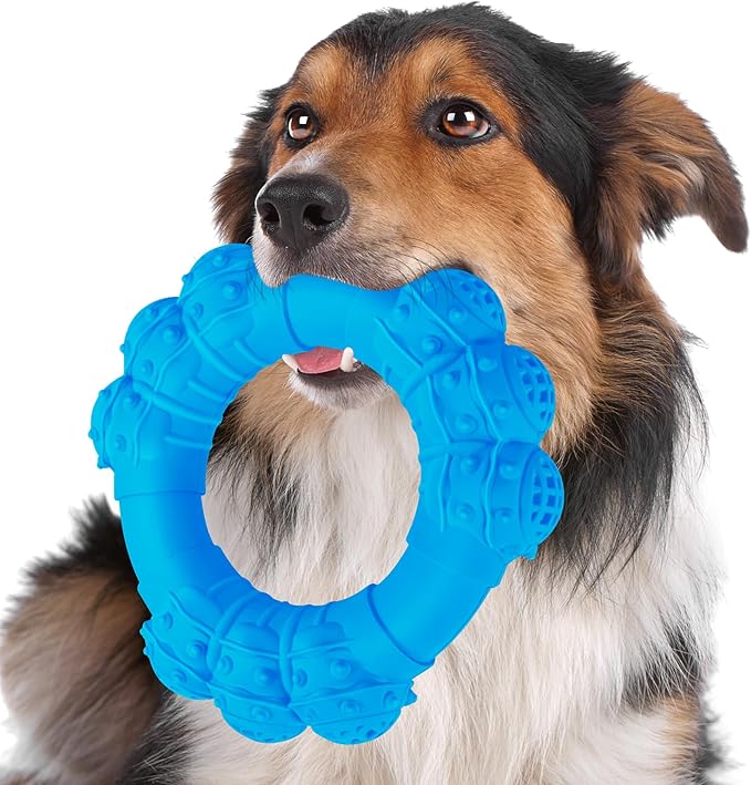 Indestructible Dog Chew Ring Toys by DAOZIJI