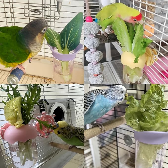 7 PCS Bird Cage Feeder for Vegetable Millet Holder Cage Accessories - Image 5