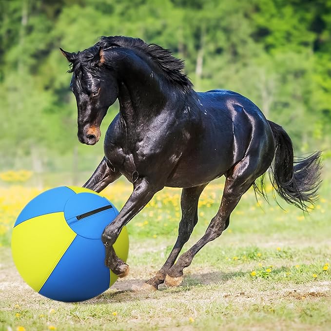 Herding Ball for Dogs and Horses - Image 9