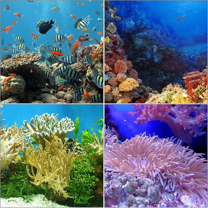 Boao 2 Sets Long Pipette for Fish Tank Coral Food Feeder Long Syringe Aquarium - Image 7