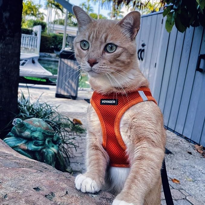 Best Pet Supplies Voyager Step-in Air Harness - Image 8