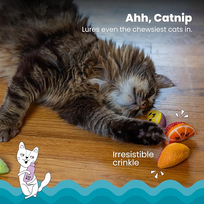 Catstages Dental Fruit Wedges 4 Pk, Soft and Textured Catnip Chew Toys That - Image 3