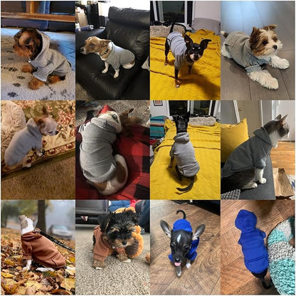 Jecikelon Winter Dog Hoodie Sweatshirts - Image 4