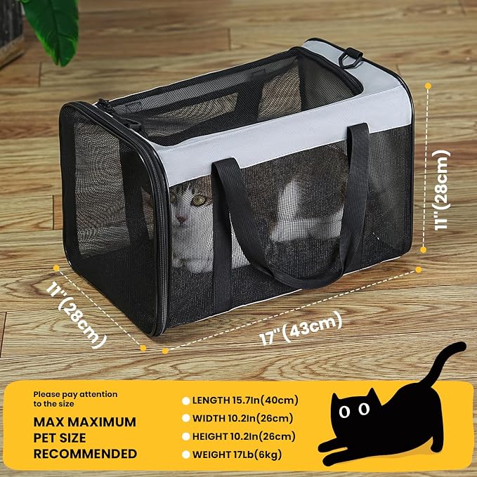 Soft-Sided Cat Carrier for Small-Medium Cats, Puppies up to 15 Lb, Airline - Image 2