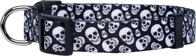 Native Pup Skull Dog Collar for Halloween - Image 2