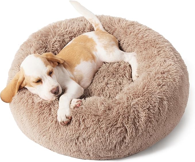 Bedsure Calming Dog Bed for Small Dogs - Image 4