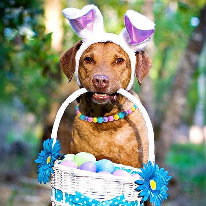 Beaded Dog Necklace Collar, Adjustable Jewelry-Inspired Design - Image 2