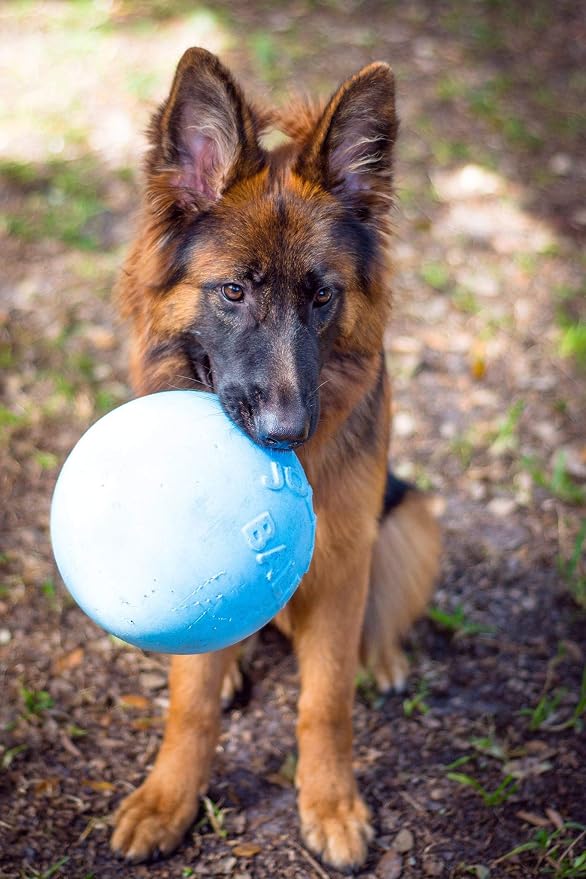 Jolly Pets Bounce-n-Play Dog Toy Ball, 8 Inches/Large - Image 2