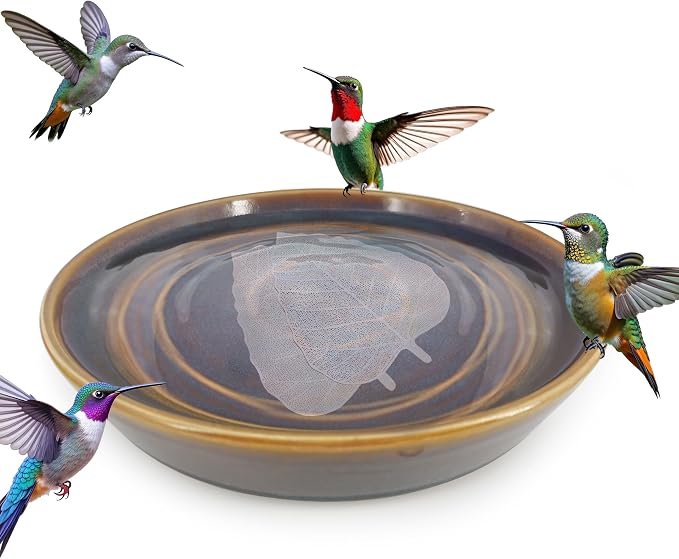 RONDURE 2 pcs Bird Bath Purification Disk Copper and Iron-Silver 4 Inch Bird - Image 4