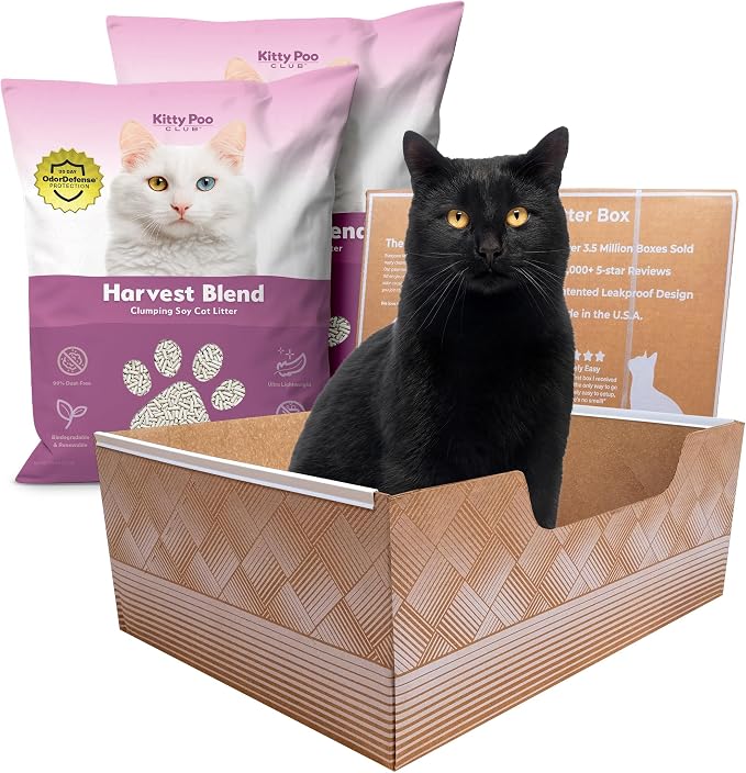 Kitty Poo Club Leakproof Disposable 2-Pack Cat Litter Box by KittyPooClub
