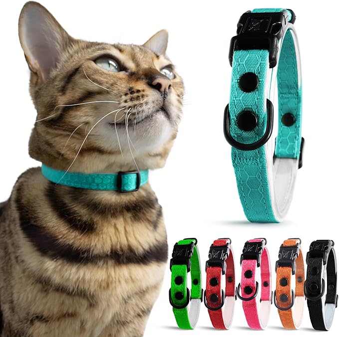 OutdoorBengal Blue Cat Collar Breakaway by OutdoorBengal