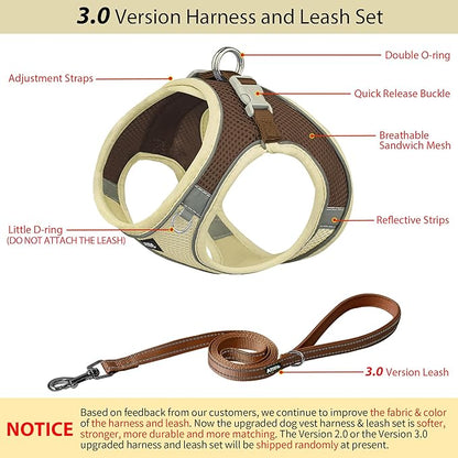 AIITLE Step in Dog Harness and Leash Set - Image 3