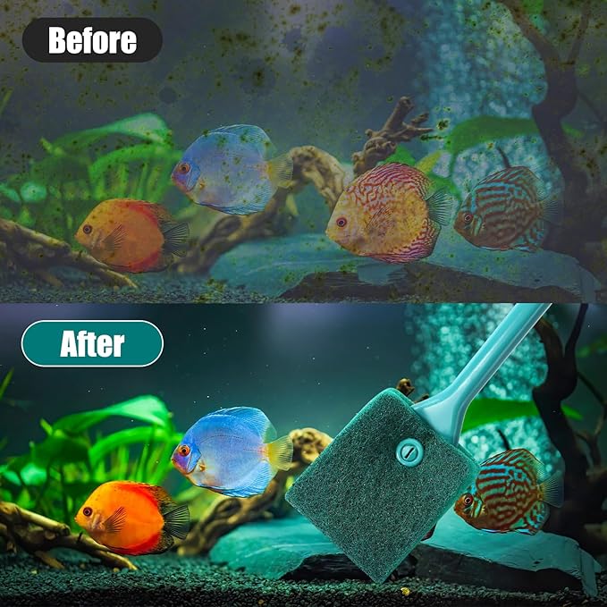 AQUANEAT Fish Tank Cleaning Tools, Aquarium Double Sided Sponge Brush, Algae - Image 5