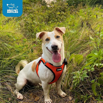 Best Pet Supplies Voyager Step-in Air Harness - Image 11