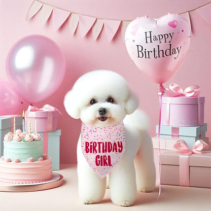 Birthday Girl Dog Bandanas 1 Pack, HBD Pet Scarves - Image 3
