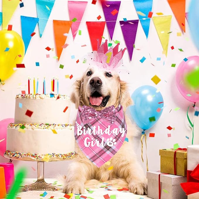 Dog Birthday Party Supplies - Image 2