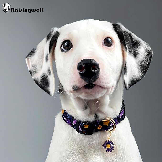 Cotton Dog Collar Purple Flower Pattern - Image 5