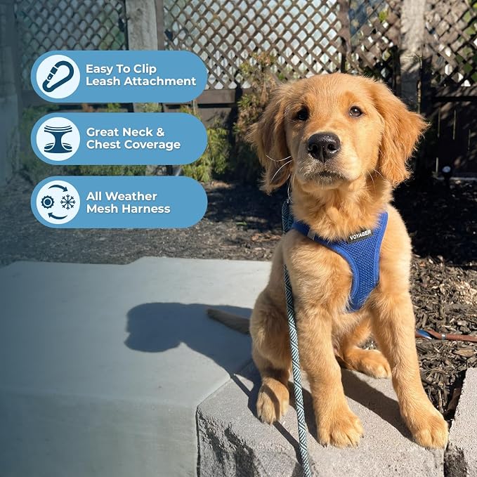 Best Pet Supplies Voyager Step-in Air Harness - Image 3