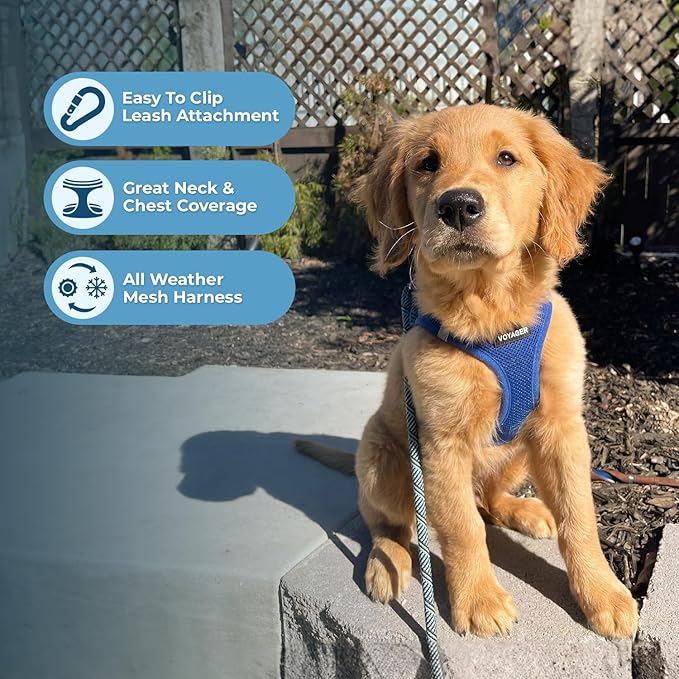 Best Pet Supplies Voyager Step-in Air Harness - Image 3