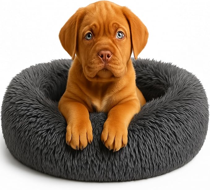 Calming Dog Bed by Shiny-V