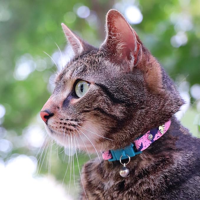 Kittyrama Botanicals Fern Kitten Collar. Award Winning. Hypoallergenic - Image 4