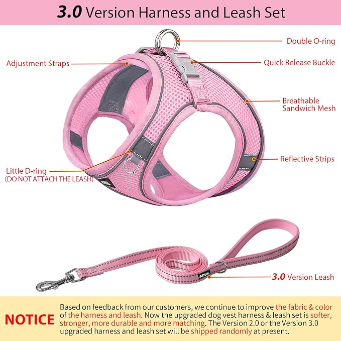 AIITLE Step in Dog Harness and Leash Set - Image 6