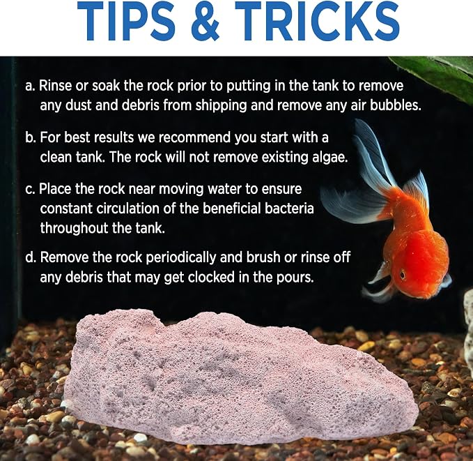 Fish Tank Rocks for Enhancing Water Clarity - Image 8