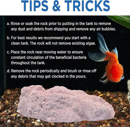Fish Tank Rocks for Enhancing Water Clarity - Image 8