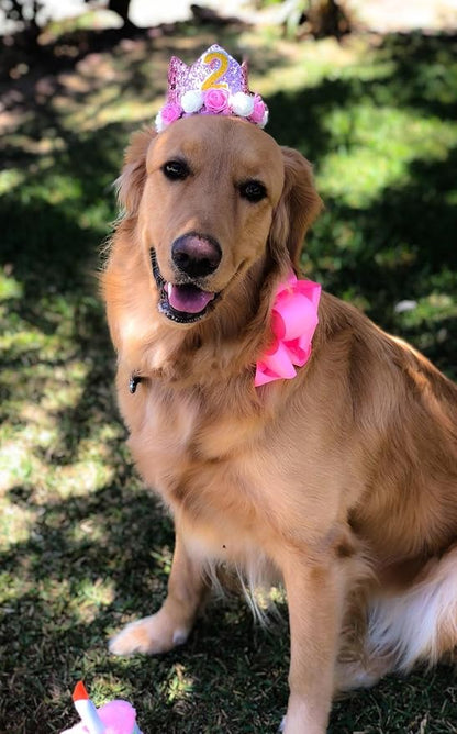 PET SHOW Pink Crown Dog Birthday Party Hat - Image 3