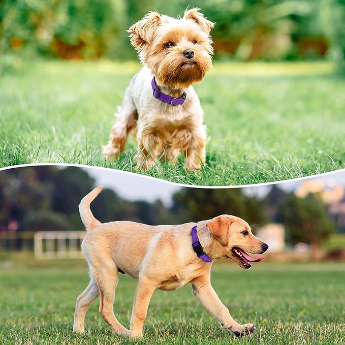 Reflective Dog Collar Padded - Image 2