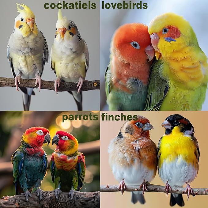 Bird Toys for Parakeets 7Pcs, Wood Parrots Budgie Cage Accessories, Bird Perch - Image 7