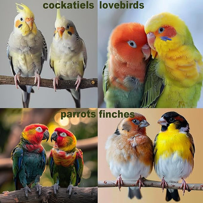 Bird Toys for Parakeets 7Pcs, Wood Parrots Budgie Cage Accessories, Bird Perch - Image 7