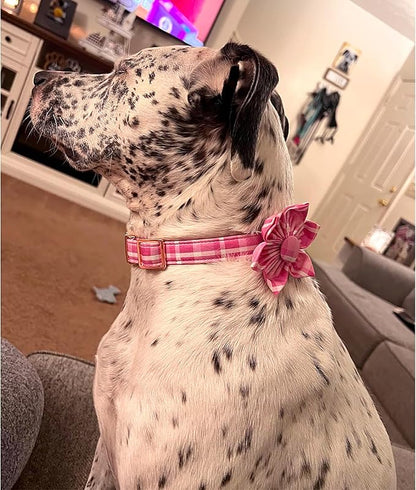 Lionheart Glory Dog Collar, Cute Floral Pattern Pet Collar Adjustable Pet Collar - Image 5