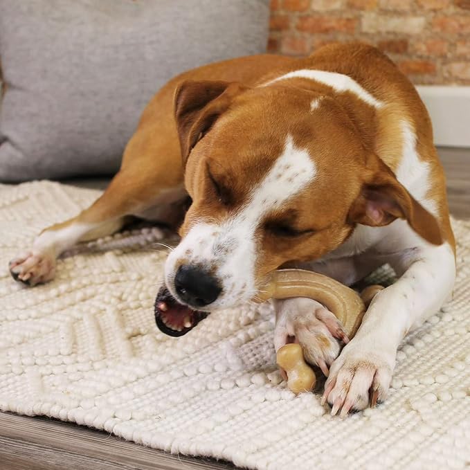 Nylabone Gourmet Style Wishbone Strong Chew Toy - Image 3