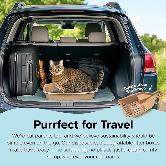 Kitty Sift Disposable Cat Litter Box Jumbo, Durable and Portable - Image 7