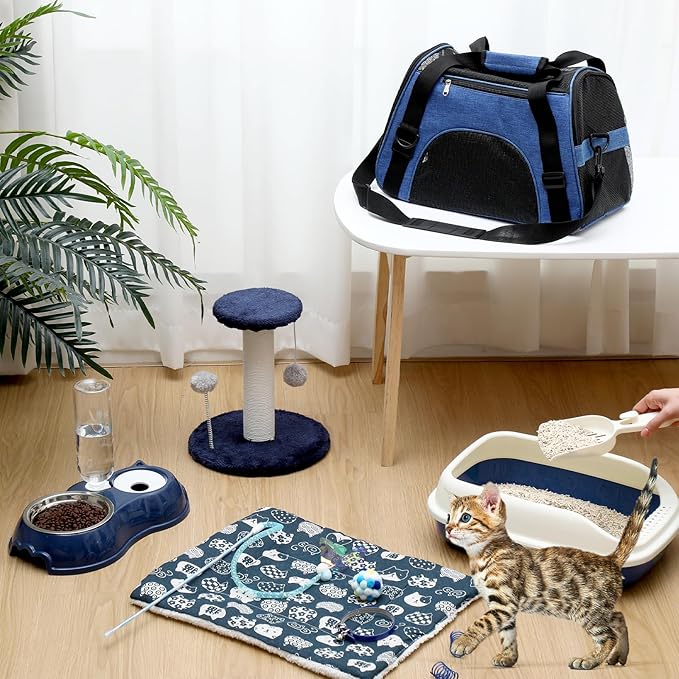Eccliy Kitten Starter Kit, Pet Toy, Folding Carrier, Climbing Frame, Automatic - Image 2