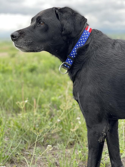 Native Pup American Flag Dog Collar- Red White and Blue- Patriotic Collars - Image 7